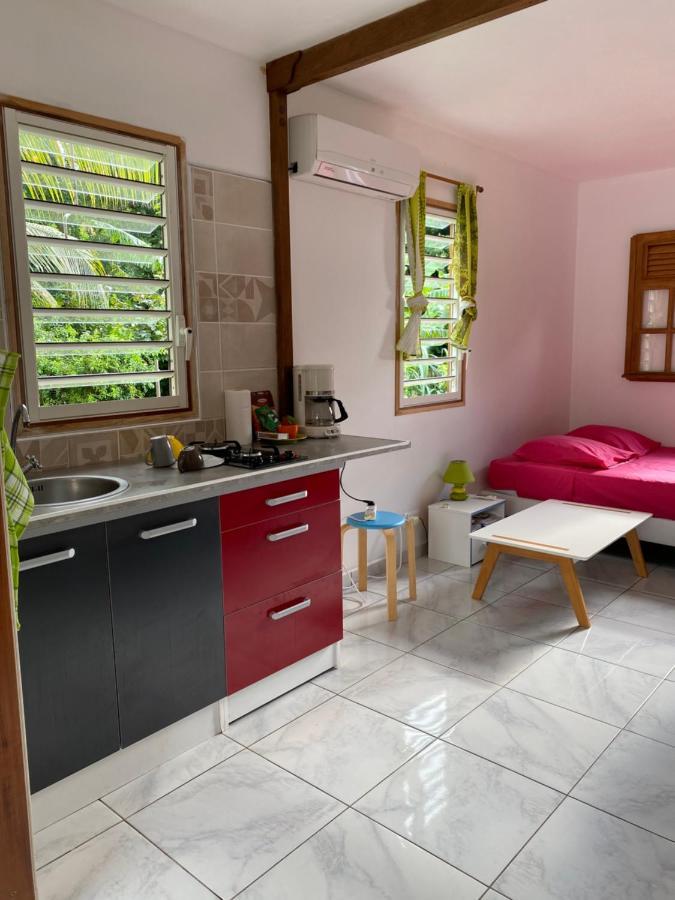Les Gites Du Sud - O Naturel Gourbeyre Exterior photo