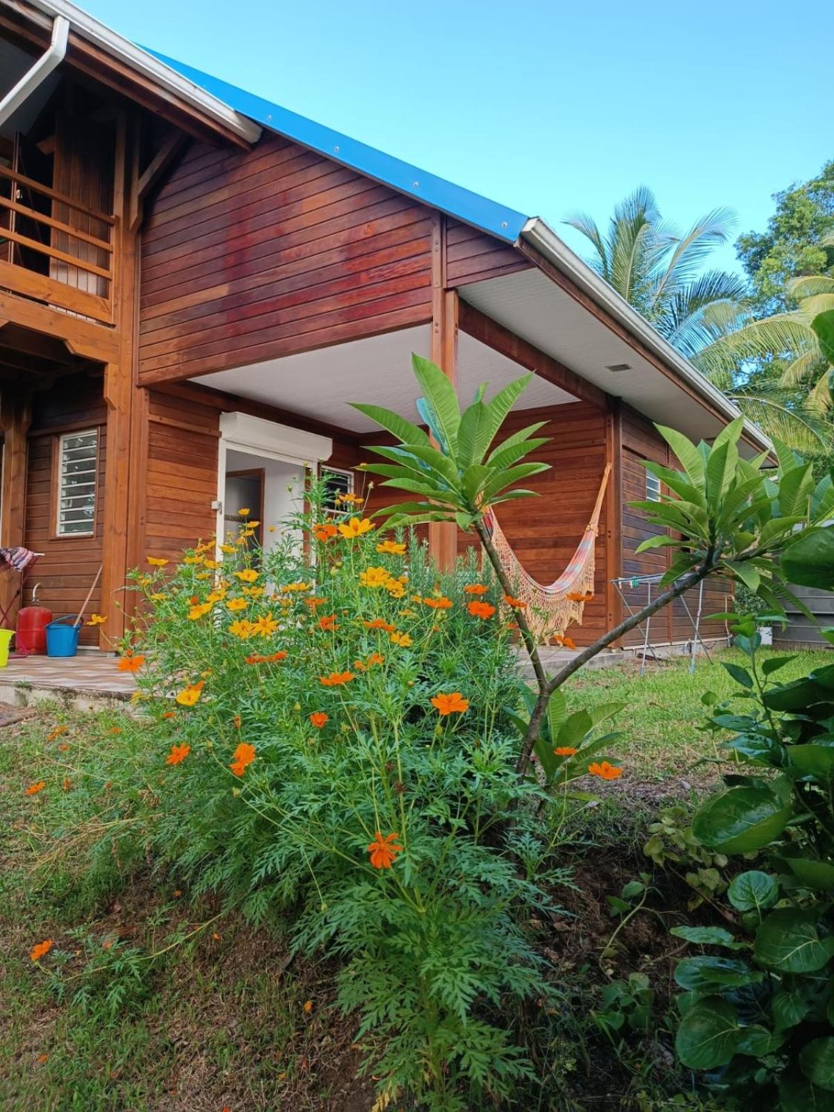 Les Gites Du Sud - O Naturel Gourbeyre Exterior photo